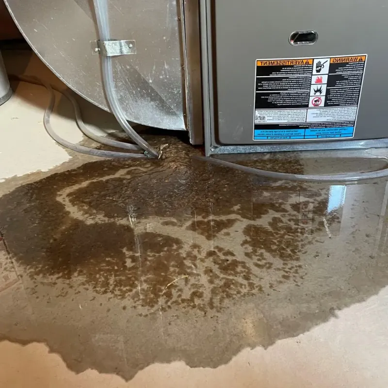 Pipe Burst and Leak Restoration in Binghamton, NY